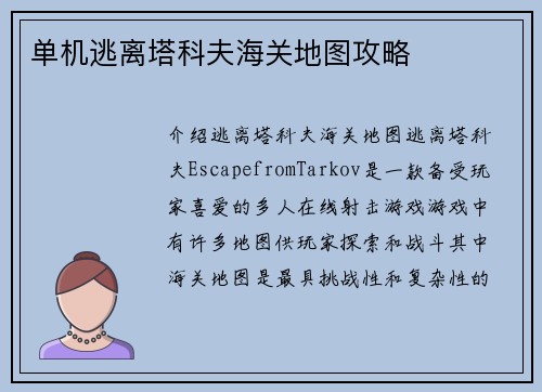 单机逃离塔科夫海关地图攻略